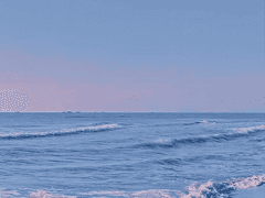 비로소 물에 잠겨서야 알게 되는 것