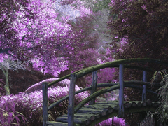 낙원(樂園) 01화