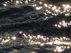 청특 / 결혼하고 싶은 캐릭터 조사 결과