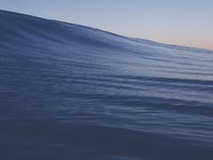 금붕어는 말라 죽어갔다.