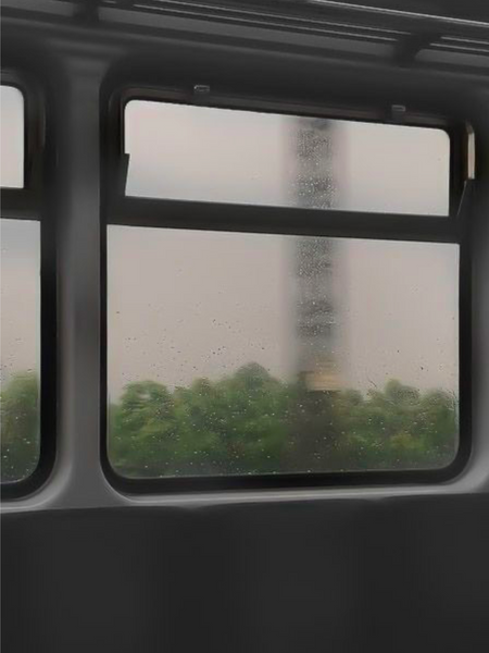 키노시타 중학교 고목에 묻힌 시체 유기사건