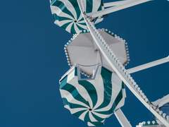 튀어오른 금붕어