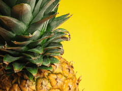 [무료 이미지] 요청 구글폼