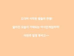 드디어 시작된 별들의 전쟁! 아시안게임일정~