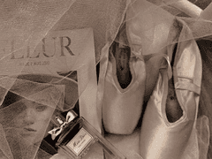 우아하게 예뻐지는 법 2편 - 동경의 대상이 되어라