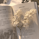 로망 𝑅𝑂𝑀𝐴𝑁