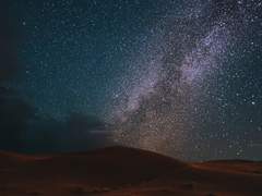 나무를 거꾸로 오르는 천사들에 대하여