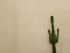 나는 내가 무엇을 하고 싶은지 모르겠다.