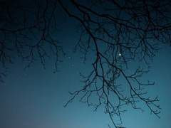 동짓달 기나긴 사랑을