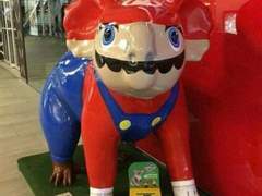 자놀 프로필 주저리