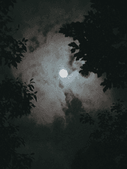 [태웅대만] 먹빛 파도의 림