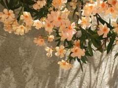 사랑은 브라운관을 타고 - 하편