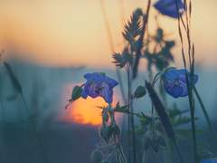 아홉 번째 플래시백