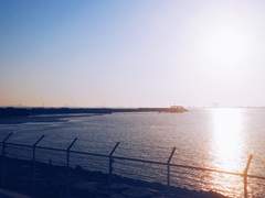 도은호가 채봉구를 짝사랑하지 않는 세계관