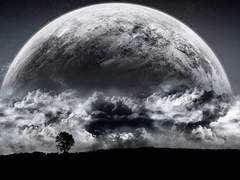 달 아래 검은빛 숲의 수호자🌑