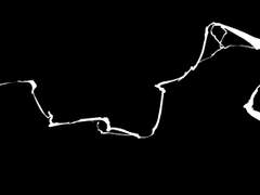 모순의 제자리에서