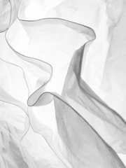 천자락을 잡고서 허위허위, 어디까지 나아가나