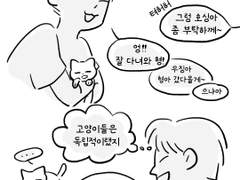 순훈 누가 고양이보고 독립적이랬어