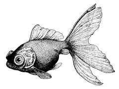 [믿음커 0차 프로필]