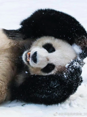 플랜트샤워 제작일지