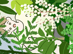 26화, 영원한 식물 사이