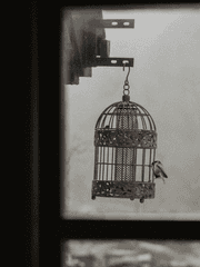 새장 속의 아리에타