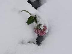 내가 당신 연가보상비 탐 내는 줄 알아?