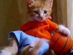 half time! もう俺にはリングしか見えねえ。