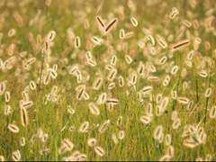 그냥 있는 그대로의 내 삶