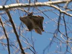 솔부 아기 드래곤은 디저트가 먹고 싶어/9월과 진행형 헤드라이너 외