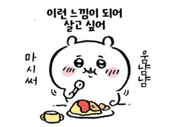 이렇게 살고 싶어