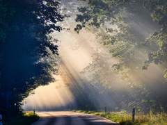 여덟 나와의 만남 - 두 번째 나와의 만남 (6)