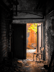 원래세계로 돌아왔습니다