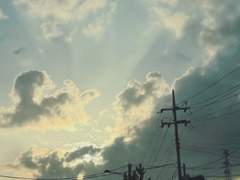 당신에게 미쳐 전하지 못한 말씀