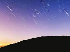 괴도 스타 | 불명 | XX [공개프로필]