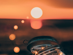 신은, 그를 원했다.