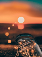 아카데미에 위장취업당했다 zip.