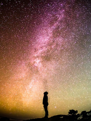 전지적 독자 시점 zip.