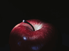 그대, 달콤한 죽음이여 3화