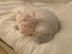 안녕 날 소개하지