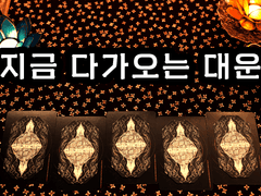 [타로] 지금 다가오는 대운