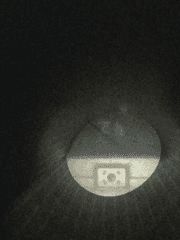 학교선생 시슴의 삶 