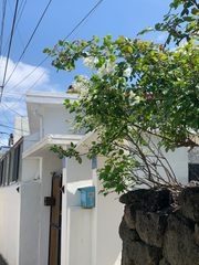 대딩 준향즈와 초딩 태초즈의 여름방학