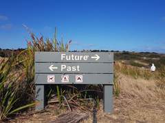 미워도 다시 한 번, 10년 커리어 돌아보기