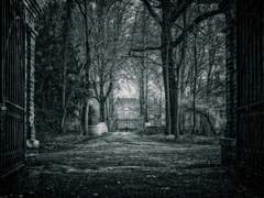 피리 부는 사나이