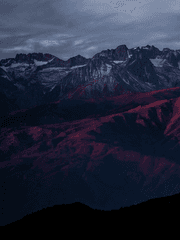 회자정리 거자필반