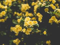 솝굽으로 이것저것...