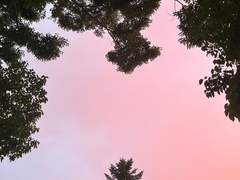 하물며 말하자면