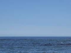 기억의 답장 下