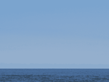 잊지 않기 위해서